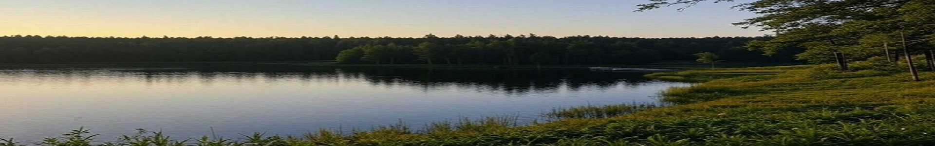 FishingIntel App Background